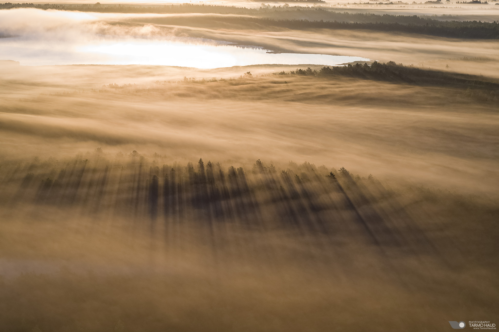 Sunrise at Parika bog