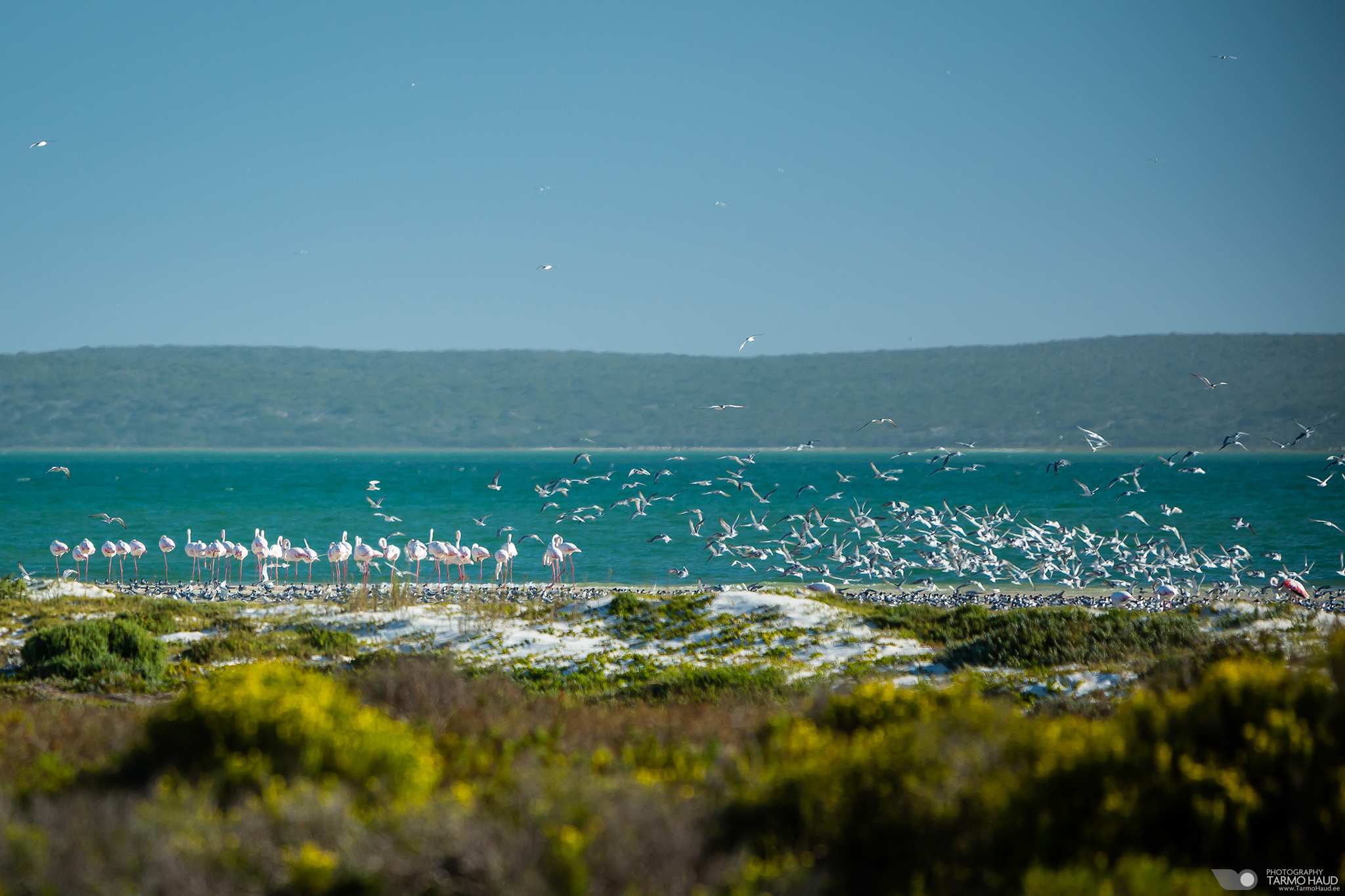 West Coast National Park